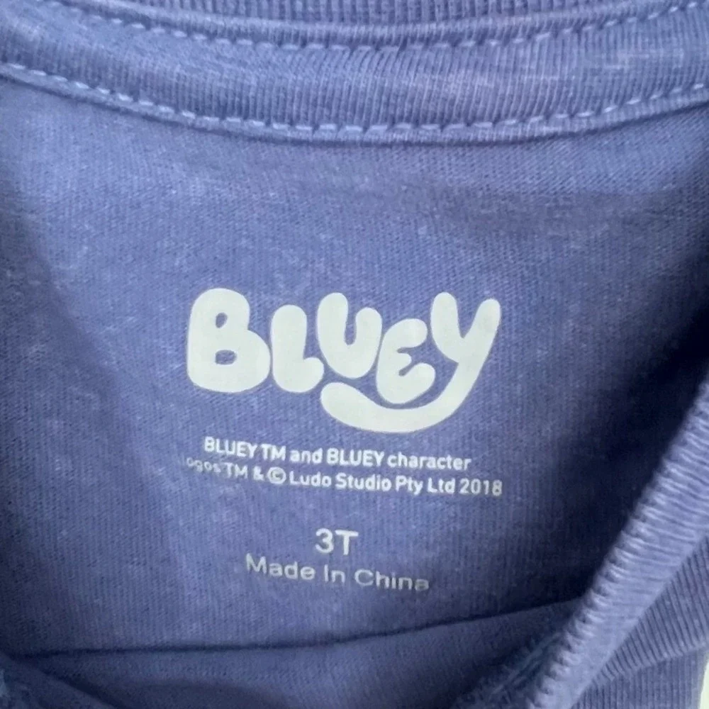 NWT Bluey Graphic T-Shirt Kids 3T Blue‎ Mineral Wash Bingo Short Sleeve Cartoon
